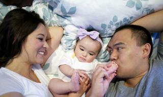 一箱特仑苏多少钱